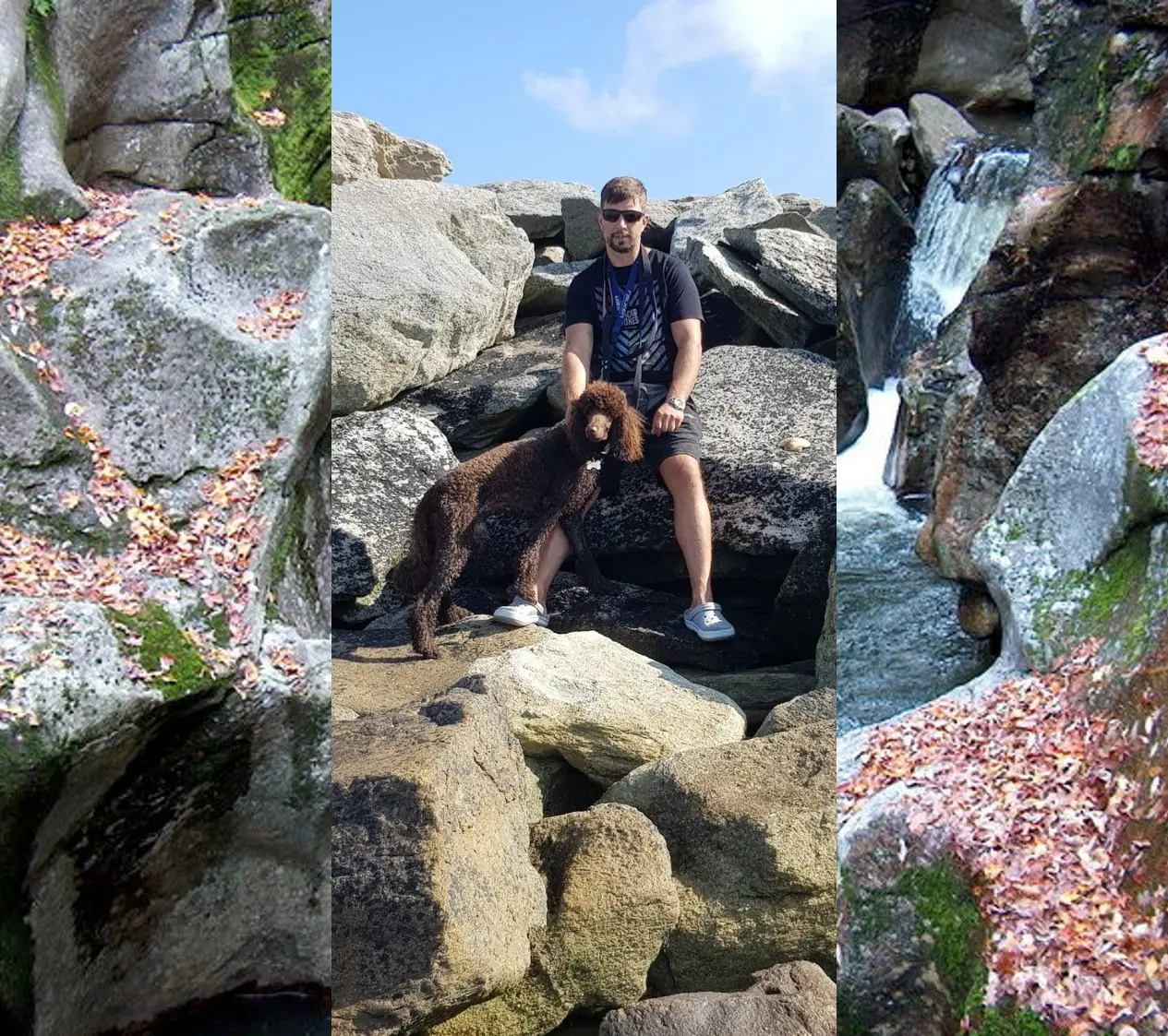 LM siuntos Tarptautinis gyvunu pervezimas